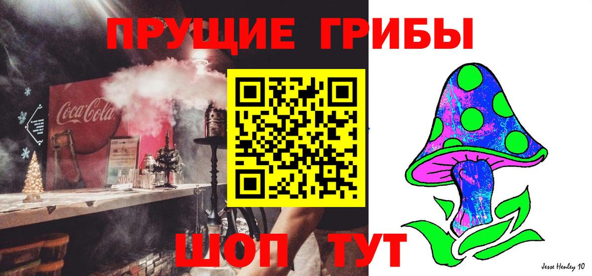 Псилоцибиновые грибы GOLDEN TEACHER  Вход с VPN  Дальнегорск 